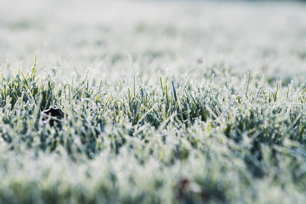 Frost på banan – tänk på detta inför din golfrunda
