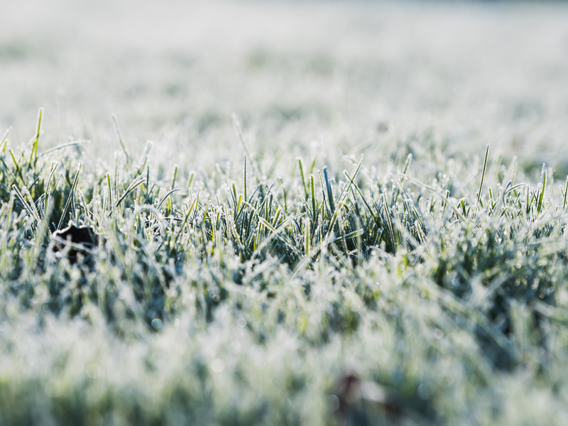 Frost på banan – tänk på detta inför din golfrunda