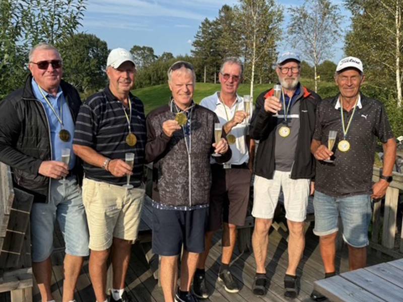 GGF Seriespel H-70 Div 2 har gått upp till Div 1 2026!