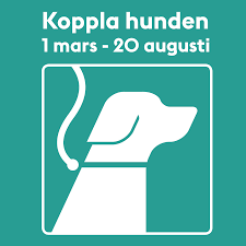 Koppla hunden!