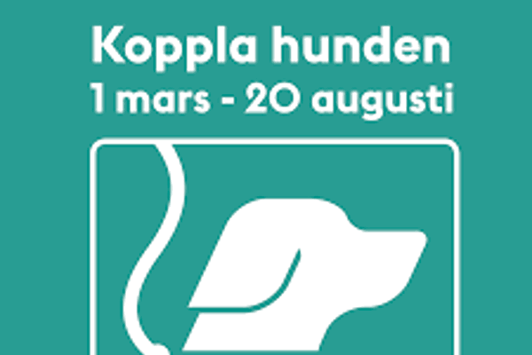 Koppla hunden!