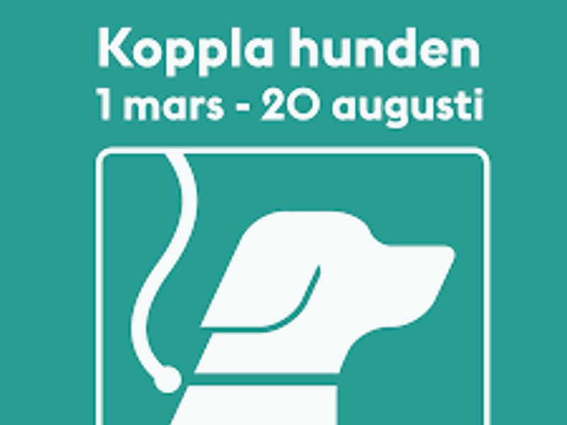 Koppla hunden!